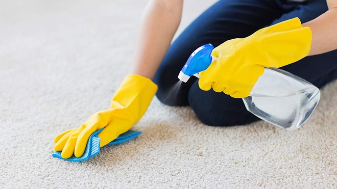 person using carpet cleaner on carpet
